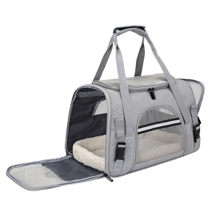 Travel a novus via pro vestri pet scriptor peregrinatione: et comprehensive analysis ex pet carrier types et commoda